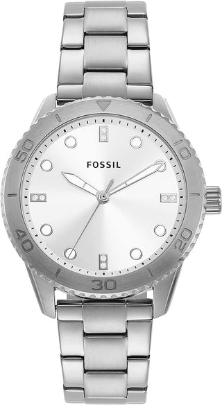 Front view of Fossil Dayle BQ3885 Womens Watch on white background