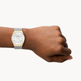 Angle shot of Skagen Grenen SKW6816 Womens Watch on white background