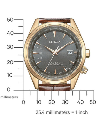 Angle shot of Citizen CB0273-11H Grey Dial Brown Leather Unisex Watch on white background