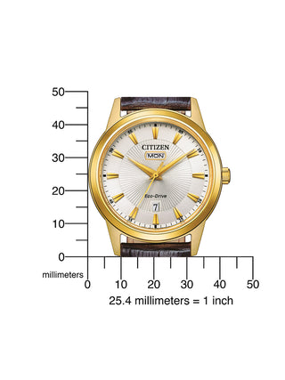 Angle shot of Citizen AW0102-13AE Silver Dial Brown Leather Unisex Watch on white background