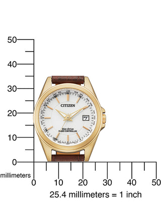 Angle shot of Citizen EC1183-16A White Dial Brown Leather Womens Watch on white background